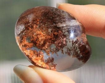 RARE Garden Quartz Lenses with Rutile| High-Grade Garden Quartz Lenses | Lodolite Lens | Garden Quartz | Shaman Quartz | Rutile Quartz