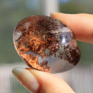 RARE Garden Quartz Lenses with Rutile| High-Grade Garden Quartz Lenses | Lodolite Lens | Garden Quartz | Shaman Quartz | Rutile Quartz