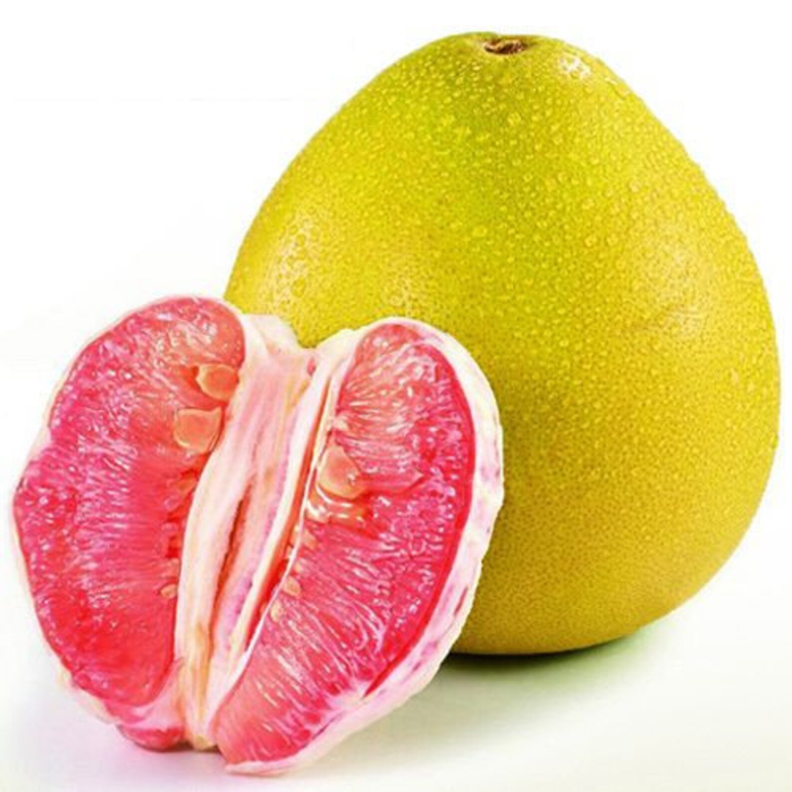 Pomelo grapefruit seeds citrus Maxima fruits seeds Ceylon Etsy