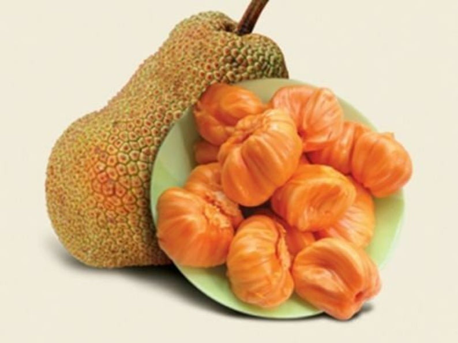 Jack Fruit Seeds Ceylon Orange Rare Honey Jack Tropical Worlds Etsy