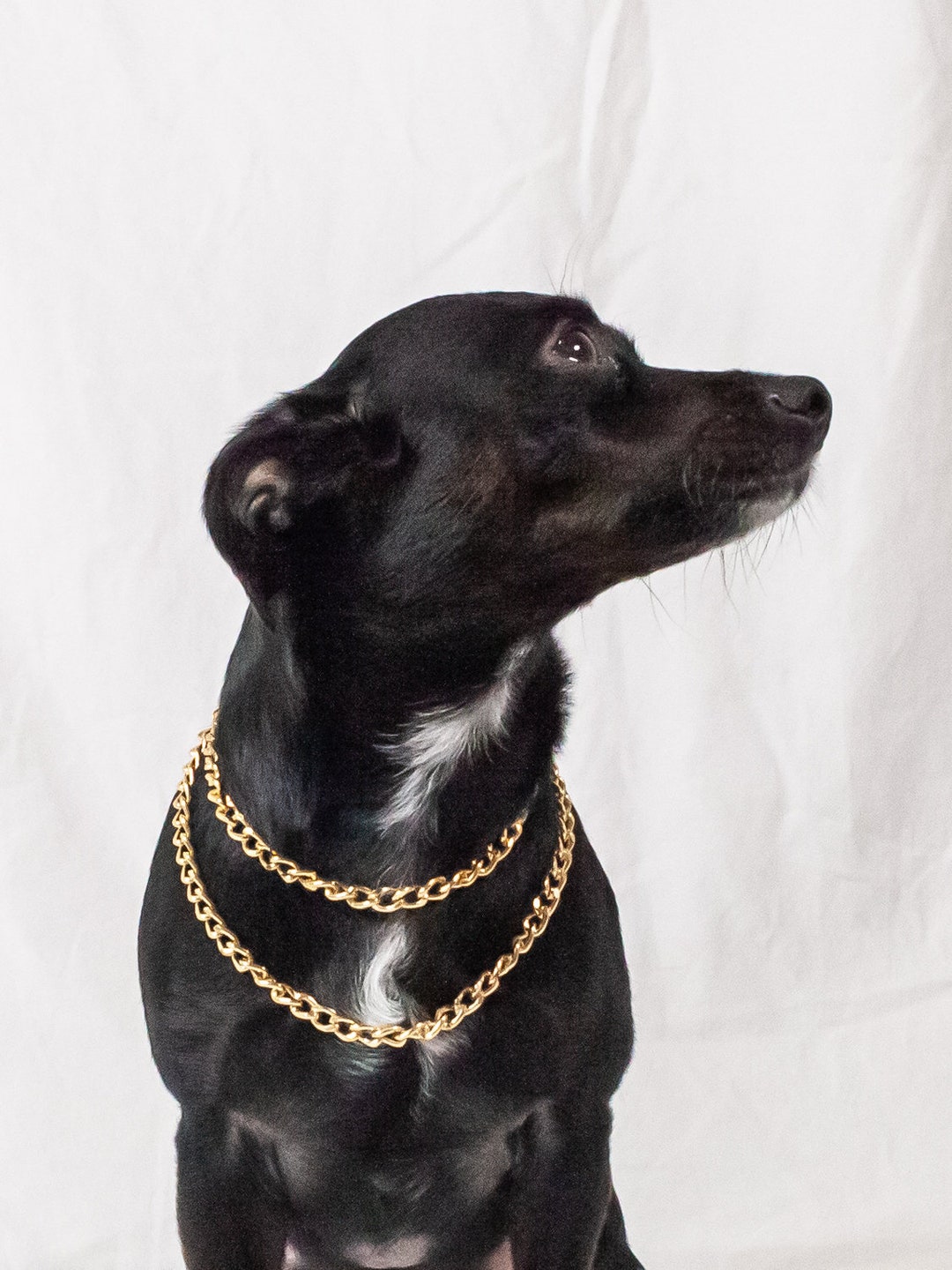 DOHP 2 Chains L Dog Chains L Gold Dog Chains L Gold Pet Chains Etsy