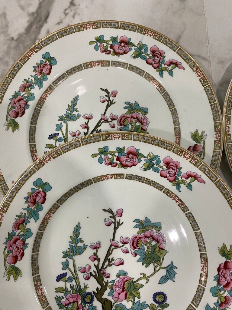 Set of 7 John Maddock Indian Tree Dinner Plates Etsy