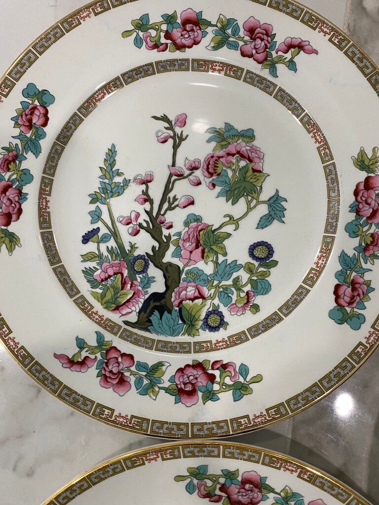 Set of 7 John Maddock Indian Tree Dinner Plates Etsy
