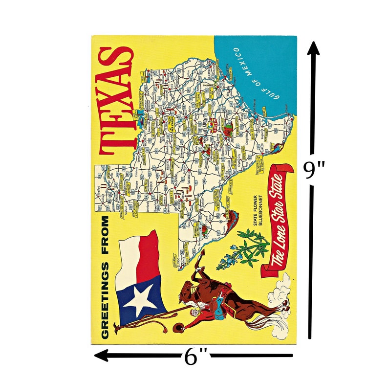 Lone Star Flag Illustrated Map Bluebonnet State Flower Texas Map Oversized Vintage Postcard Cowboy on Horse 1960s
