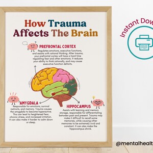 trauma and the brain poster