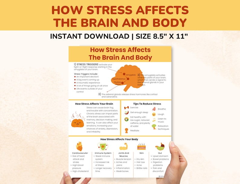 How Stress Affects the Brain and Body Therapy Poster - Etsy