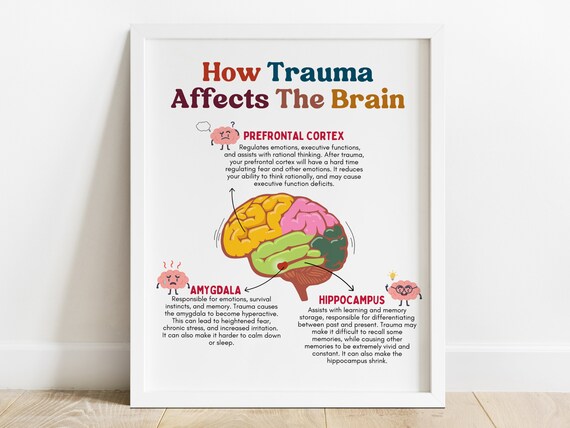 How Trauma Affects the Brain Poster, PTSD, EMDR, Therapist Wall Art, Printable Counseling Wall Art, Counseling Office Decor, Psychology Gift