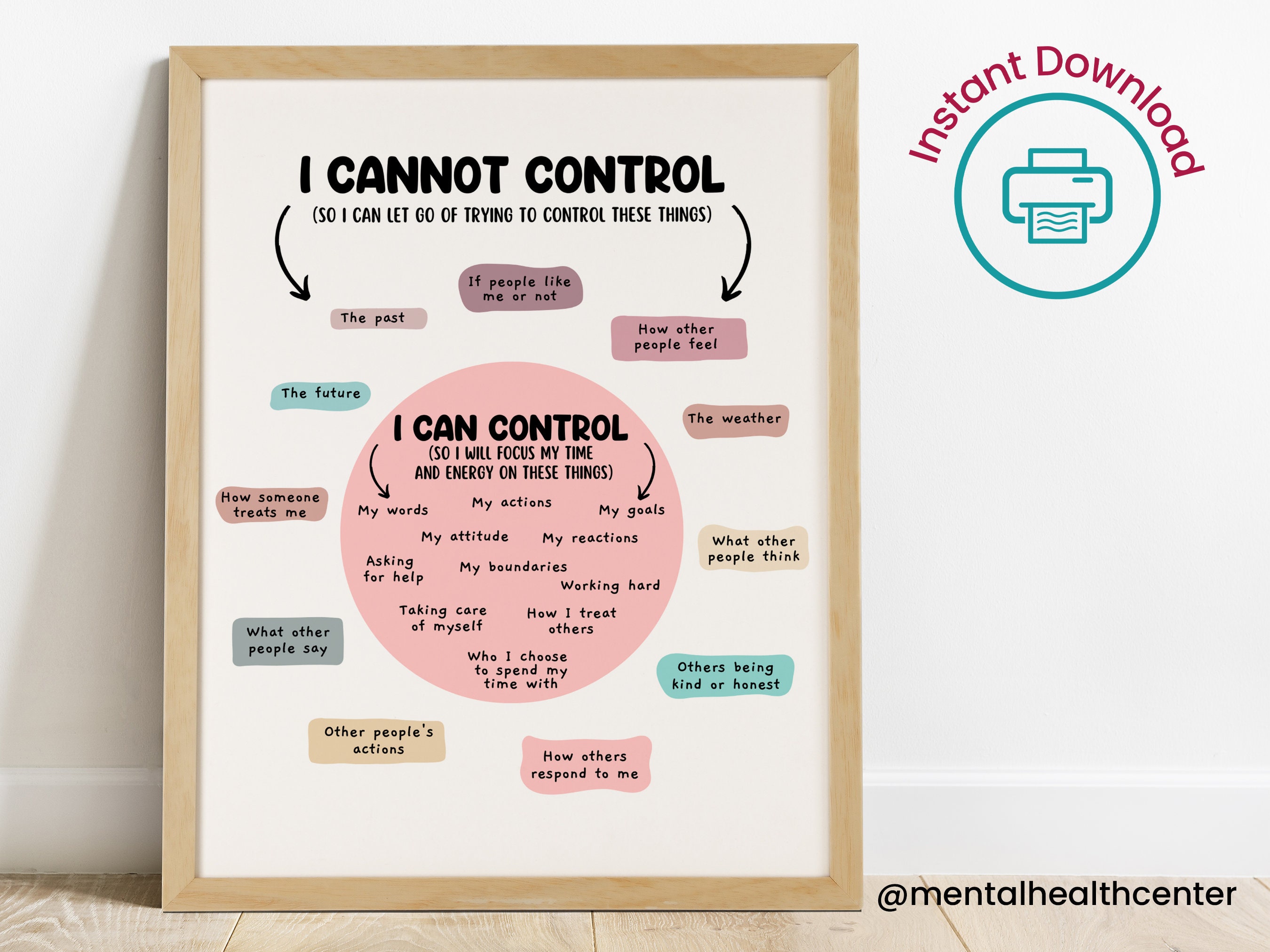 Circle of Control Poster-what I Can and Cannot Control-therapy Office ...