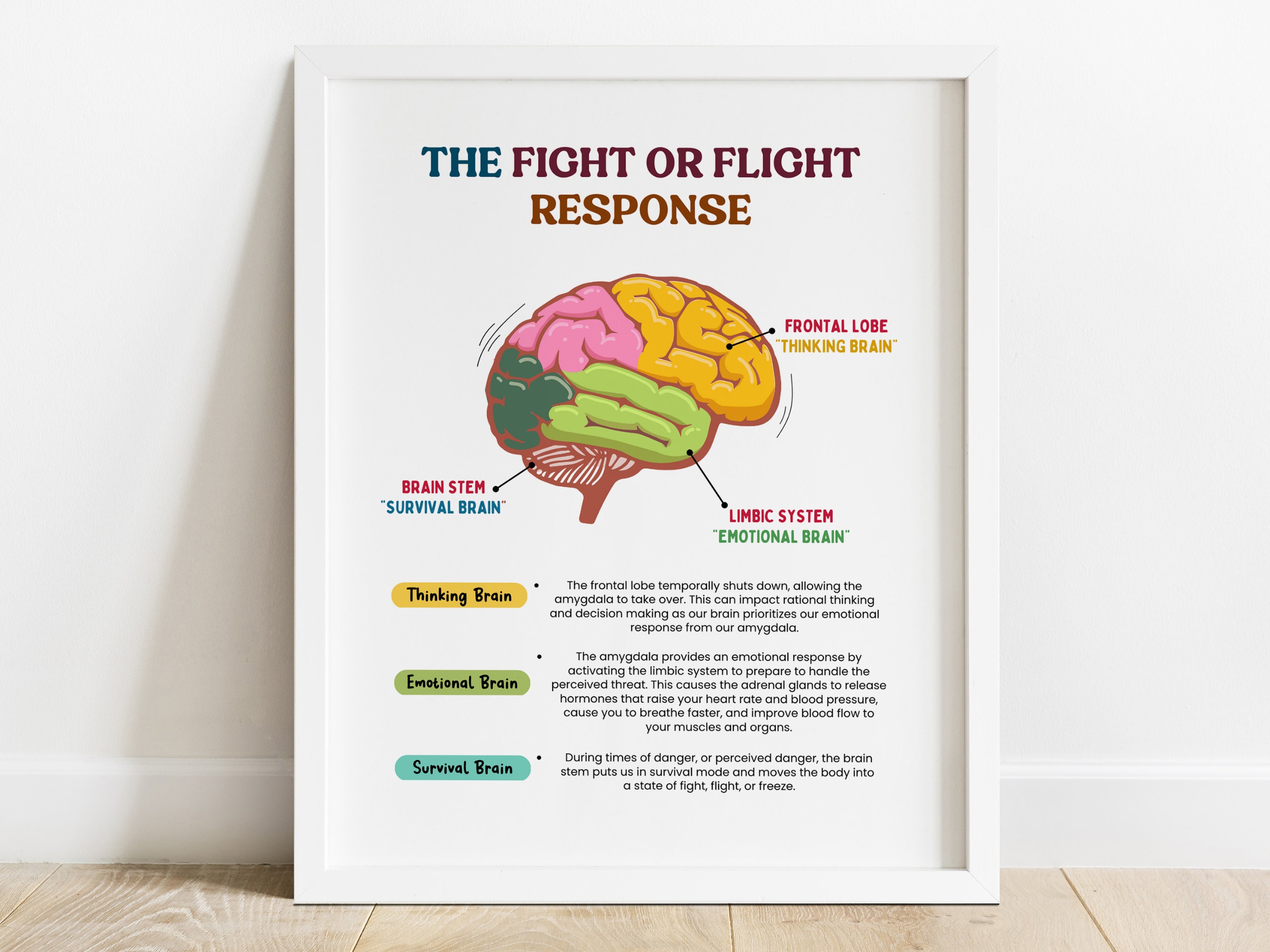 Trauma Therapy the Fight or Flight Response-ptsd Teen Mental Health ...