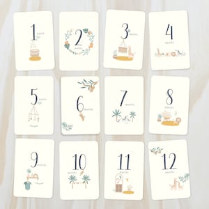 Baby Monthly Milestone Cards - Baby's first year - Sweet Safari