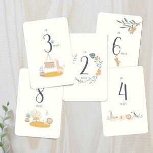 Cartes Étapes Bébé - Première année - 12 Mois de Souvenirs Photo – Douce Savane - Idée Cadeau Naissance - Baby Shower - en Français