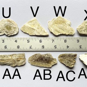 A photo of stones T-AE lined up against a ruler (in inches), labelled with their respective letters.