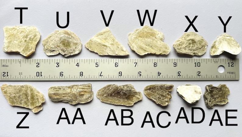A photo of stones T-AE lined up against a ruler (in inches), labelled with their respective letters.