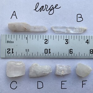 A photo of all of the large stones lined up against a ruler (in inches) and labelled with their corresponding letters. Stones A and B are shown above the ruler while stones C, D, E, and F are shown below it.