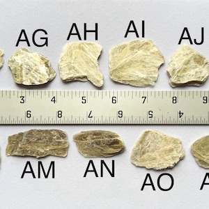 A photo of stones AF-AQ lined up against a ruler (in inches), labelled with their respective letters.