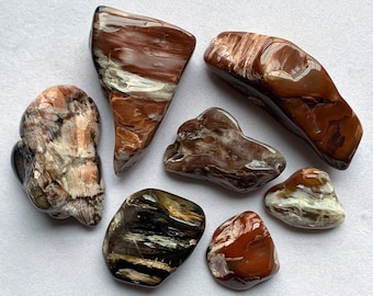 You Pick Tumbled Nevada Petrified Wood Healing Crystals, Fossils, Palm/Pocket Stones - Please Read FULL Description