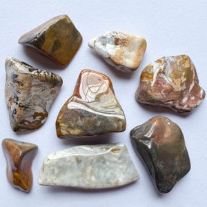 Puede incluir: Una colección de piedras pulidas de diversas formas y tamaños. Las piedras muestran una gama de colores, incluyendo marrones, beiges y grises, con patrones y texturas únicos. Las superficies lisas y brillantes reflejan la luz.