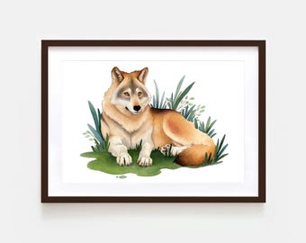Watercolour Wolf | Illustrated Wall Art