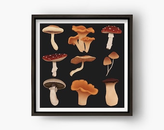 Mushrooms Art Print | Illustrated Wall Art