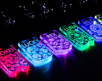 LED Dog/Cat Tag Keychain | Various designs | Color Changing Pet ID Charm