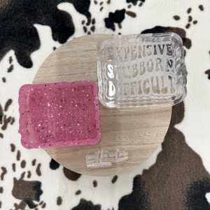 Expensive Stubborn Difficult Freshie Mold, Silicone Mold, Freshie Mold