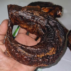SMOKED APO FISH, Big Size Smoked Nigerian Fish  4/5 Pieces ( Depending on size)