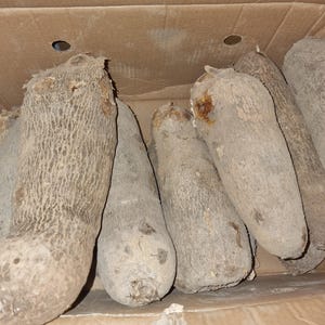 New Yam/ New stock July 2025/ Soft Yam/Ghana yam/ African yam 1tuber/pcs (5lbs)  half box/full box Sweet Yam/ NEW YAM. (Isu/ Doya)
