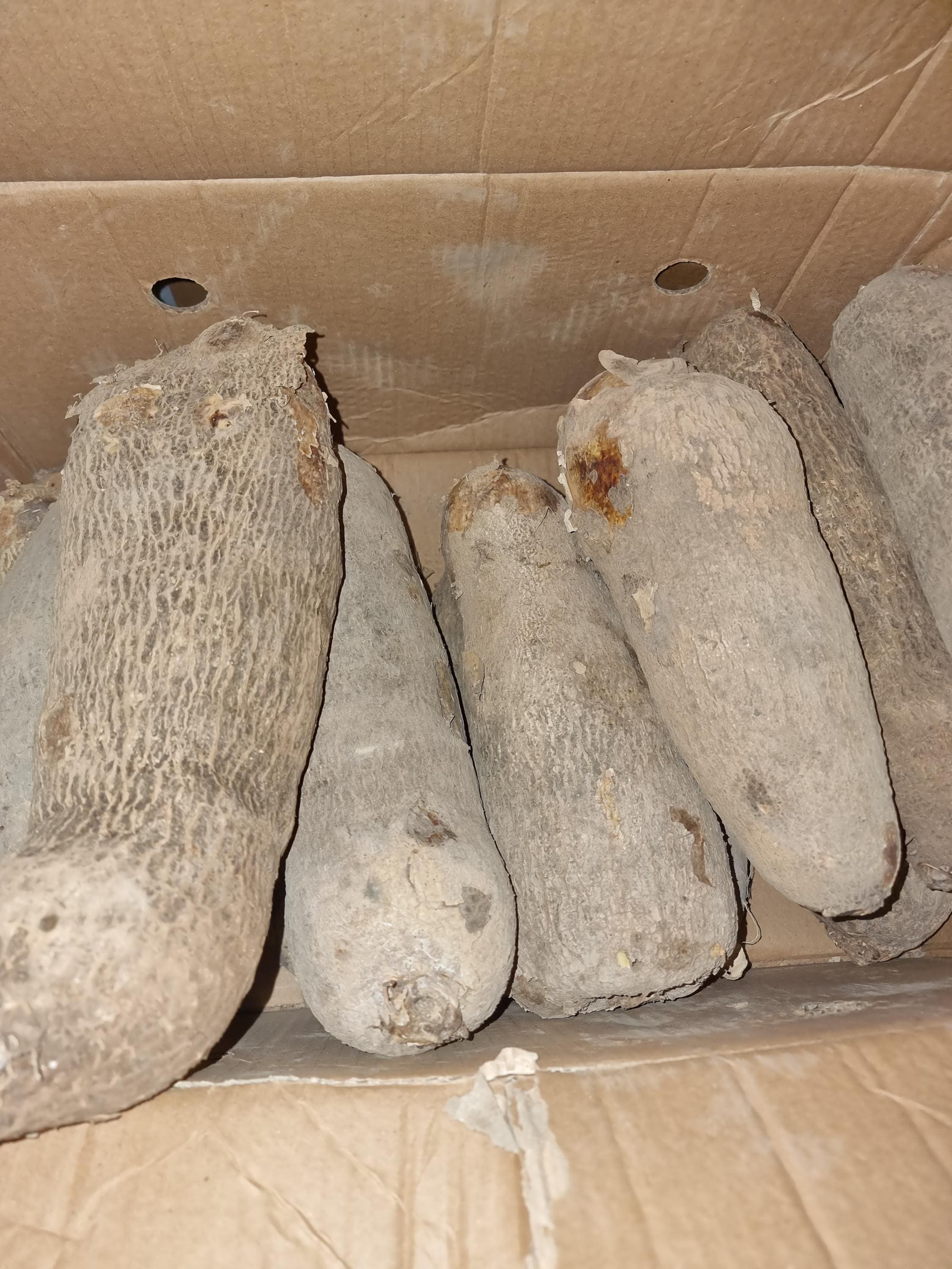 New Yam/ New stock July 2025/ Soft Yam/Ghana yam/ African yam 1tuber/pcs (5lbs)  half box/full box Sweet Yam/ NEW YAM. (Isu/ Doya)