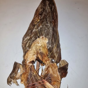 Stockfish Head with Ears ( Okporoko Head with Ears / Apama