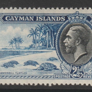 Cayman Islands 1935 21/2dTurtles King George V & Local Motives Stamp M/N/H