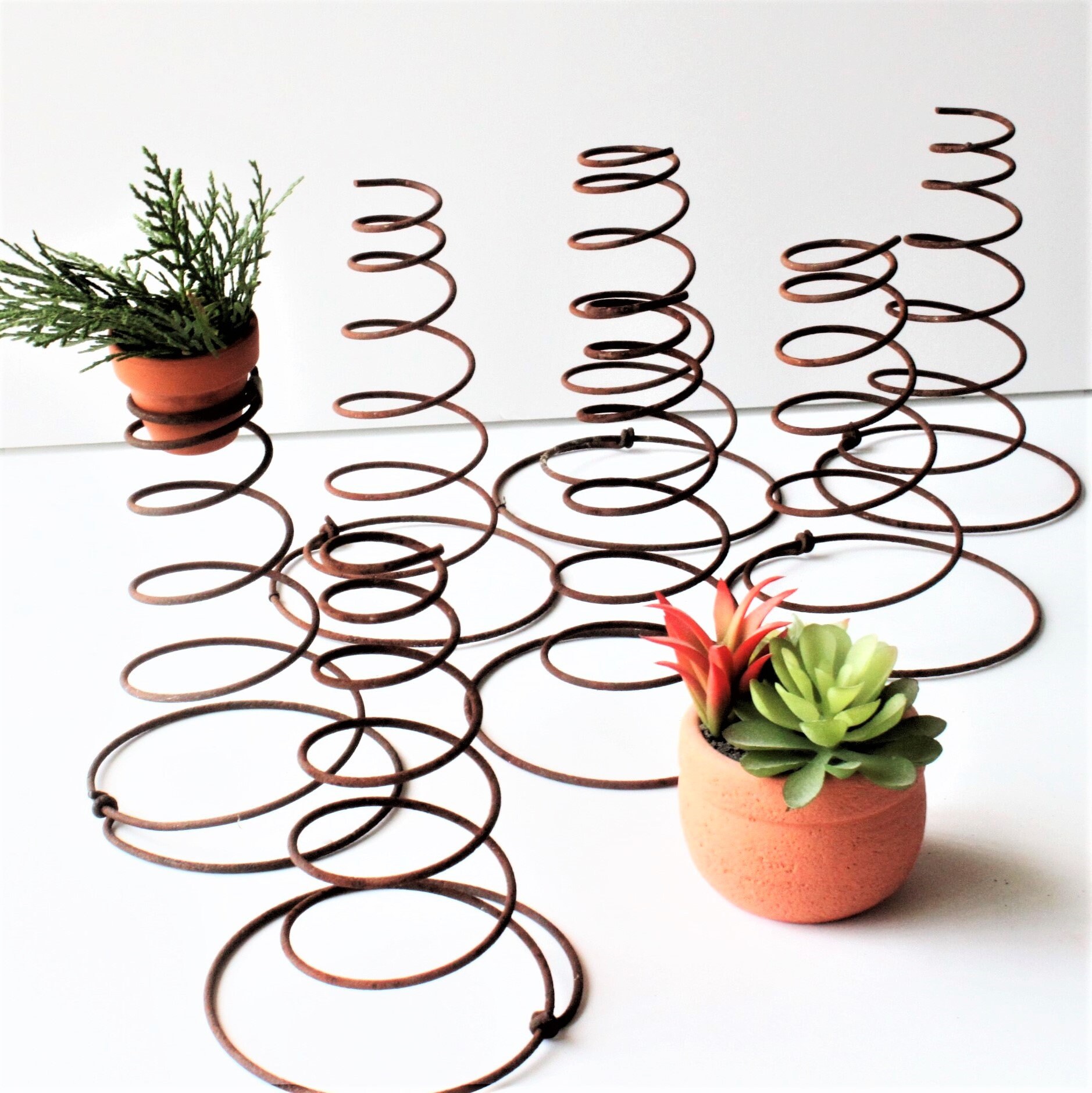 Vintage Metal Bed Spring Coils Set 6 Rusty Primitive Crafts Etsy