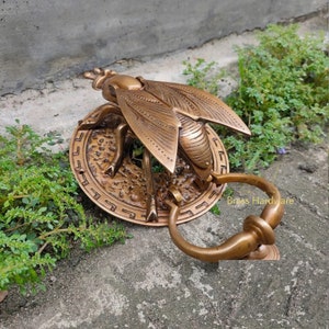 May include: A brass door knocker shaped like a fly with intricate details. The fly is perched on a round base with a decorative border. The knocker has a ring handle.