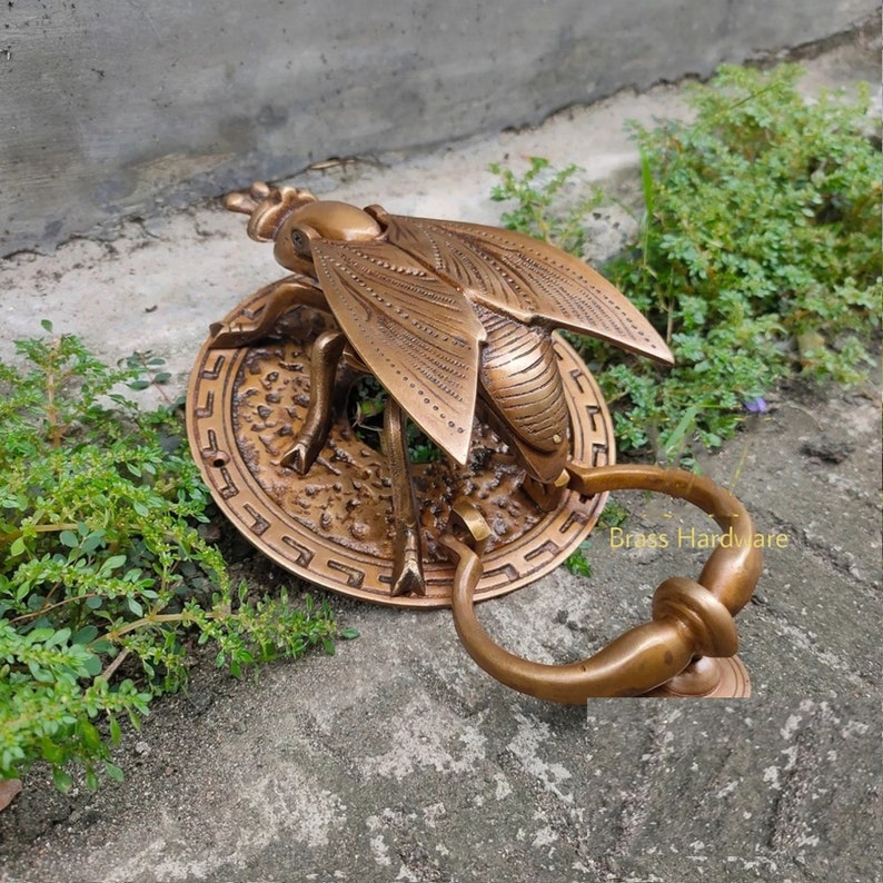 May include: A brass door knocker shaped like a fly with intricate details. The fly is perched on a round base with a decorative border. The knocker has a ring handle.