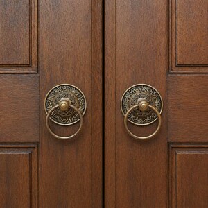 May include: Two antique bronze door knockers with ring handles, mounted on a dark brown wooden door. The knockers have a circular design with ornate detailing. The wood grain is visible, adding to the vintage aesthetic.