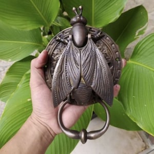 Antique Fly Door Knocker Solid Brass 5.5 Inch | Unique Flies | Fly | Bugs Animal Front Door Knocker Cast Solid Brass [DH30]