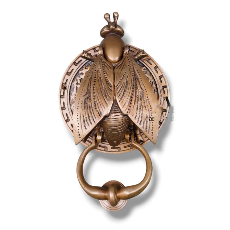 May include: A brass door knocker shaped like a fly with intricate details. The fly is mounted on a round plate with a decorative border. The knocker has a ring handle.
