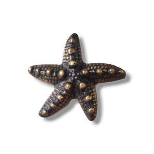 May include: A gold-toned metal starfish with a textured surface. The starfish has a dark brown finish and is a decorative accent.