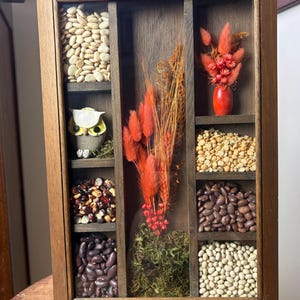 May include: A wooden shadow box with nine compartments, each filled with different items. The compartments contain beans, dried flowers, a ceramic owl, and moss. The frame is a dark brown color.