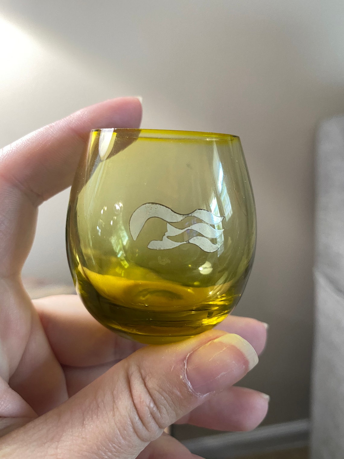 Set of 2 vintage Carnival Cruise shot glasses 1970's Etsy