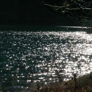 Zen Lake Thousand Stars