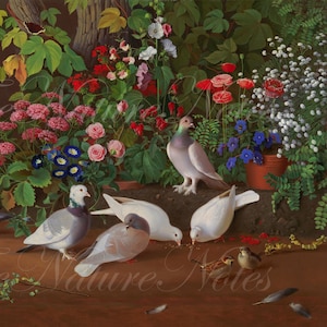 Doves and Flowers. Antique Doves painting by the artist Ferdinand von Wright. (1872)