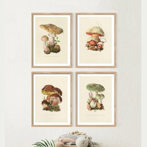 Vintage Mushroom Art -#1 - Vier Drucke. Naturgeschichte. Digitaler Download