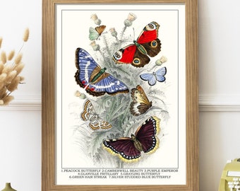 Butterflies. Antique victorian butterflies illustration  by Oliver Goldsmith (1730-1774). Vintage printable butterflies. Digital Download