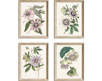 Passion Flower Print Set: Vintage Botanical Illustration (Digital Download)
