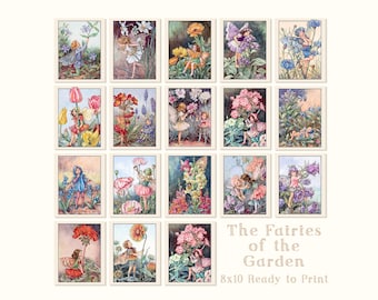 Cicely Mary Barker Flower Fairies Art Prints – Vintage Watercolor Illustrations (8x10 Digital Download)