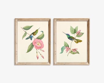 Floral Kolibri Drucke 2er Set, Vintage Vogel Wandkunst, botanische Illustration, weiches Natur Dekor, digitaler Download