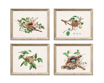 Vintage fågelbon och äggtryck, set om 4 | Blommig väggkonst med fågelbon | Antik naturhistorisk dekor