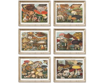 Vintage French Mushroom Print Set: 19th Century Botanical Art (Digital Download)