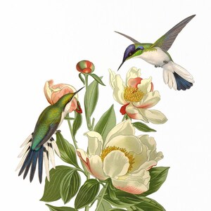Hummingbirds and White Peony / Digital Art / Victorian style illustration / Digital Download