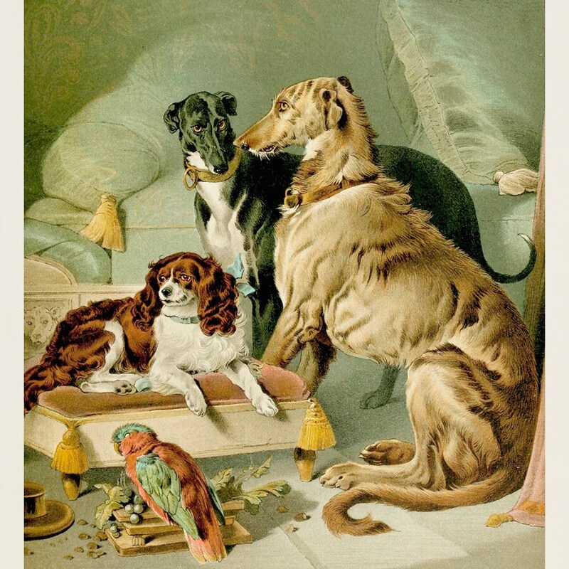 Antique Dog Etsy